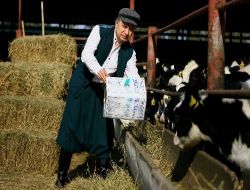 Üniversitenin Yetiştirdiği Ucuz Kurbanlıklar Kapışıldı