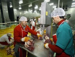 Kurban Etlerini Dondurucuda  3 Aydan Fazla Bekletmeyin!