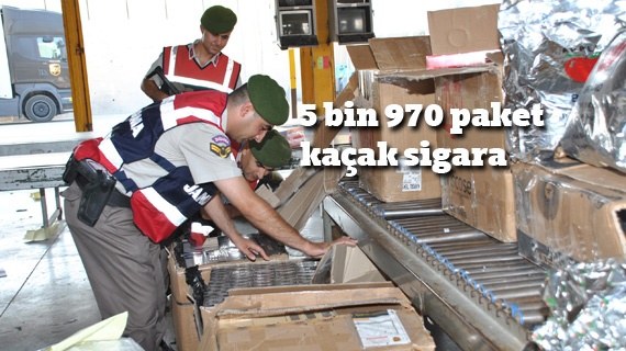 Puro Şebekesi çökertildi!!