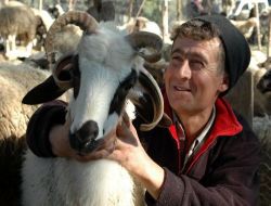 Dört Boynuzlu Koç 600 Liraya Satıldı