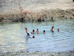 Sele Neden Olan Mert Irmağı'nda Şimdi Çocuklar Yüzüyor