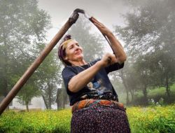 'Tarım Ve İnsan' Temalı Fotoğraf Yarışmasında Ödül Sahipleri Belirlendi