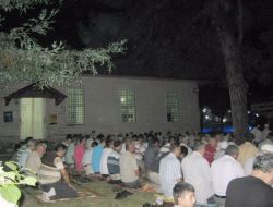 350 Yıllık Çınar Termelileri Serinletiyor