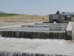 Tarlalarına Su Geldi, Kazançları 12 Kat Arttı!