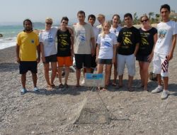 Caretta Yavruları Denize Ulaşsın Diye Nöbet Tutuyorlar