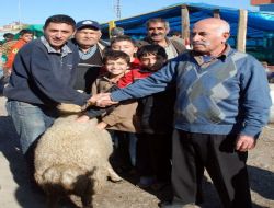 Kurbanlık Pazarlığı Kıran Kırana Geçiyor!