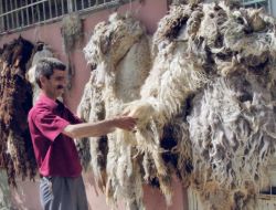 Koyun Yünü Ramazan'da Da Rağbet Görüyor