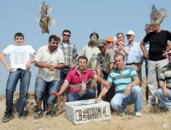 Manisa’da 450 Tane Kınalı Keklik Doğaya Salındı