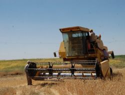 Dane Kaybı Denetimleri Sürüyor