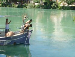 Manavgat Irmağı'nda Boğulmaların Önüne Parasal Yaptırımla Geçilecek