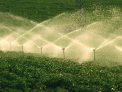 Bakan Eroğlu: Zirai Sulamada Sıkıntı Yaşanmaması İçin Gerekli Tedbirler Alındı