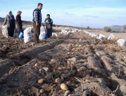 Dondan Zarar Gören Çiftçilere 1 Milyon 400 Bin Lira Yardım