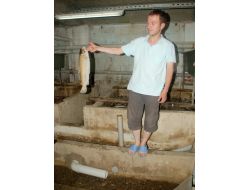 Güneysu Deresi’nde Binlerce Balık Öldü