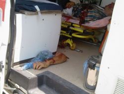 Kolunun İhmaller Nedeniyle Dikilemediğini Öne Süren Genç, Davaya Hazırlanıyor