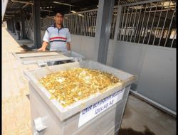 İzmir Faytonlarında Çalışan Atların Dışkısı Parklarda Kullanılacak