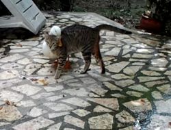 Dostluğun Böylesi!