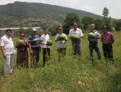 Topçalı Mahallesi Sakinleri, Tarım Arazilerinin Demir Yolu Yapılmasına Karşı