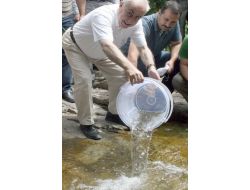 Giresun'da Akarsular Balıklarla Süslenecek