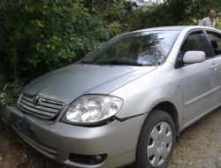 Otomobilin Çarptığı Kardeşlerden Biri Öldü, Diğeri Ağır Yaralı