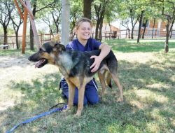 Boynuna Bağlanan İp Canından Ediyordu