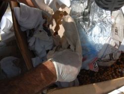 Leblebi Arasında Esrar Ele Geçirildi