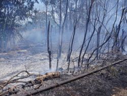 Tren Yolundaki Yangın Seferleri Durdurdu