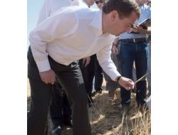 Medvedev Tarlada; Tahıl Hasadında Yüzde 10-15 Düşüş Bekleniyor