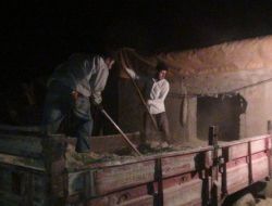 Gece Çalışıp Gündüz Dinleniyorlar