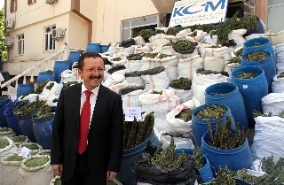 TERÖRE TARİHİ DARBE