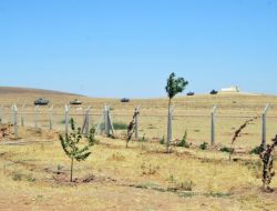 TSK'DAN SINIRDA TATBİKAT