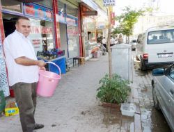 Duyarlı Esnaf Aşırı Sıcaklarda Sokak Hayvanlarını Unutmadı
