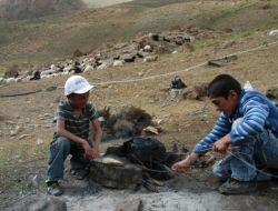 Sıcak Havalardan Bunalan Göçerler Nedirok Yaylalarına Akın Ediyor
