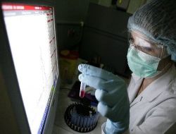 "Domuz Gribi Bize İngiltere, İspanya, Türkiye Ve Bulgaristan'dan Geliyor!"