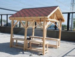 Kayseri'de Sokak Kedileri Yuvaya Kavuştu