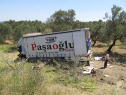 Şoförü Uyuyan Kamyon Zeytinlik Alana Uçtu: 1 Yaralı