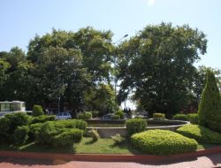 Fetih Çınarları Ereğli’nin Simgesi Oldu