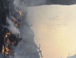 Çanakkale’deki Orman Yangın Kontrol Altına Alındı