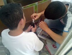 Annesiz Kalan Yavru Kedilere Esnaf Sahip Çıktı