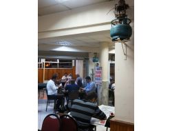 Kahvehaneye Yuva Yapan Kumrular, Müşterilerin Neşe Kaynağı Oldu