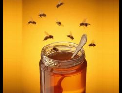 Baldaki Sahtekarlığa Karşı Bala Yeni Standart