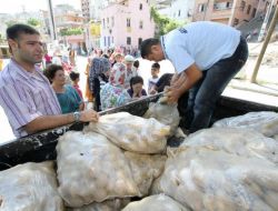Konak Belediyesi 7,5 Ton Patates Dağıttı