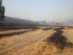 Çorlu'da 2011 Yılında 902 Yangın Çıktı