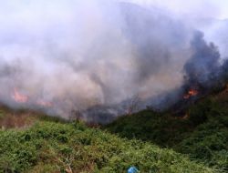 Pendik’te Tutuşan Otlar İtfaiyeyi Alarma Geçirdi