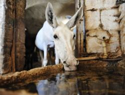 Ramazan Ve Sıcak Hava, Belediye İşçilerinin Mesai Saatlerini Değiştirdi