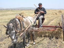Çöl Sıcakları, Ramazan'da En Çok Çiftçileri Etkiliyor