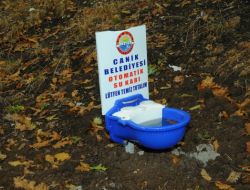 Sokak Hayvanları İçin Parklara Otomatik Suluk Koydular