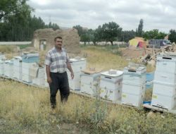 Yozgat’ta Bal Üretimi Yaygınlaşıyor