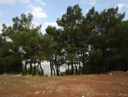 İzmir'in Gültepe Semtinde Rekreasyon Alanı Yapılacak