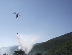 Eymir Köyünde Tarlada Başlayan Yangın Ormana Sıçradı