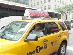 Abd'de Trafik Kültürü Kazaları Önlüyor